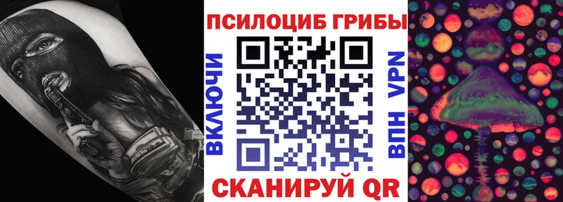 мориарти наркотические препараты  закладка  Новосиль  Псилоцибиновые грибы Magic Shrooms 